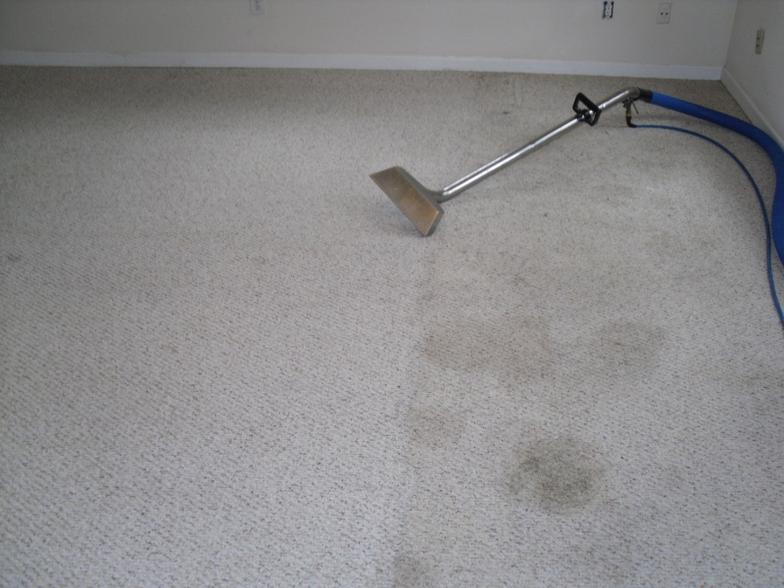 Kings Carpet Cleaning Before & After Upholstery Photo