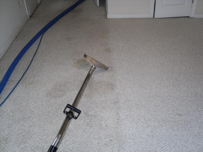 Kings Carpet Cleaning Before & After Photo
