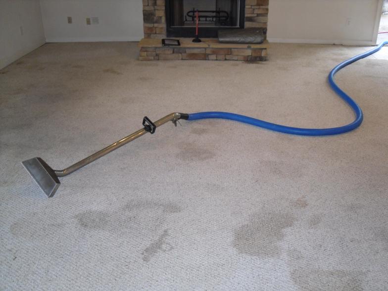 Kings Carpet Cleaning Before & After Picture